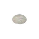 Apple Seed