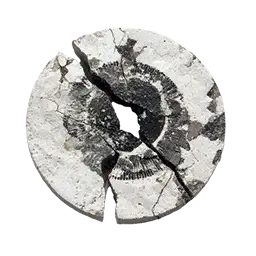 Sage's Eye