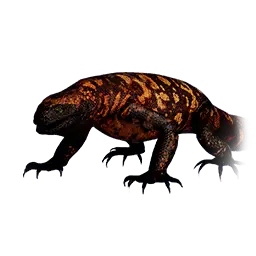 Heloderma Lizard