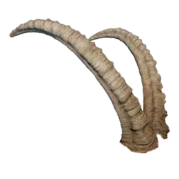 Icicle Edge Alpine Ibex Horn