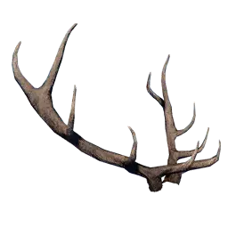 Snowwhite Deer Antlers