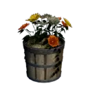 Colorful Gerbera Pot