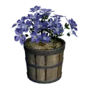 Violet Flower Pot