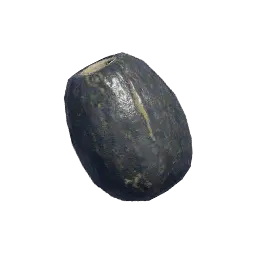 Enset Seed