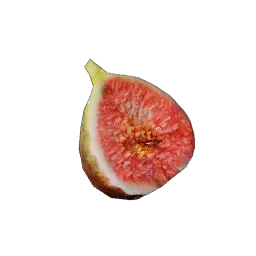 Fig Seed