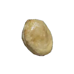 Wild Ginseng Seed