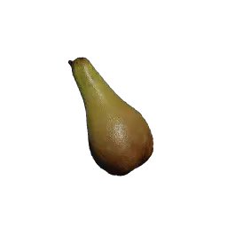 Grape Seed