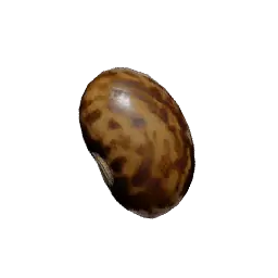 Skyroot Seed