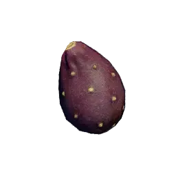 Prickly Pear Seed