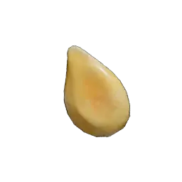 Tomato Seed