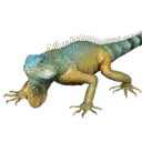 Iguana