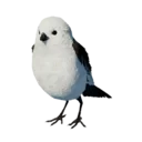 Long-Tailed Tit