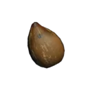 Chaya Seed