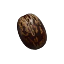 Rubber Tree Seed