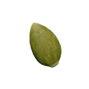 Taro Seed