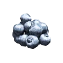 Blueberry