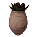 Purple Cactus Pot