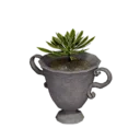 Chalice Bush Pot