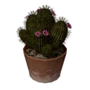 Flower-Decorated Cactus Pot