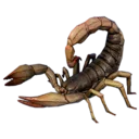 Scorpion