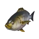 Threeline Grunt