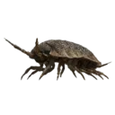 Wharf Roach