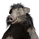 Boar Cloak