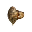 Ancient Shell Ring