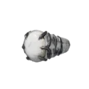 Tigerfang Ring