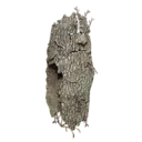 Lifsoth Large Shield