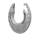 Silvermoon Horseshoes
