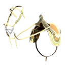 Delesyian Saddle