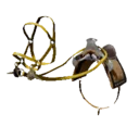 Hernandian Saddle