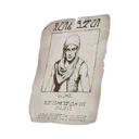 Bounty Notice - Zahir