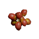 Coffee Cherry