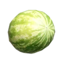 Desert Melon