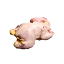 Lean Bird Meat
