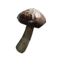 Poison-Soaked Oakwood Mushroom