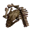 Small Bone