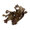 Large Bone