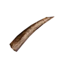 Fang