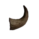 Short Horn