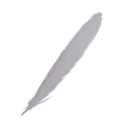 Harpy Feather
