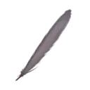 Feather