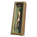 Packaged Red Ginseng