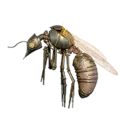 Clockwork Insect