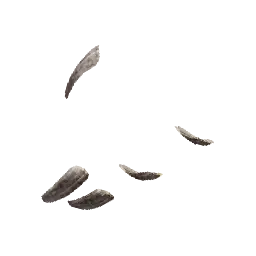 Nameless Sage's Leather Gloves