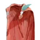 Cloak of Loyal Friendship