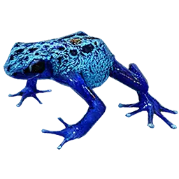 Poison Frog