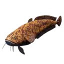 Burbot
